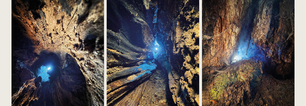 Atrium Sacrum__03.jpg